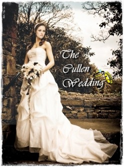 Bella-Wedding-Breaking-Dawn-twilight-series-9735838-529-709